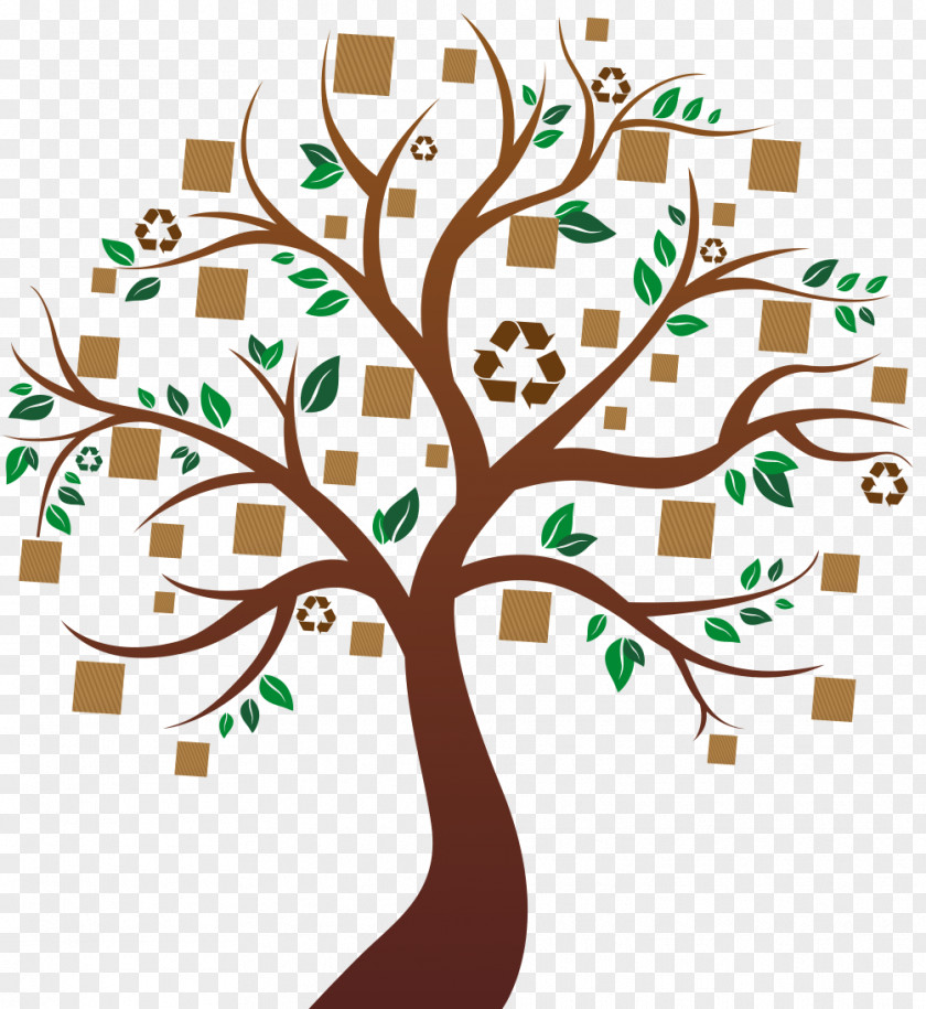 Family Tree Genealogy Clip Art Branch Wood Trunk PNG