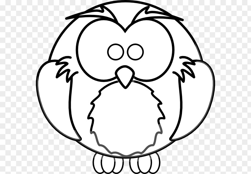 Outline Of An Owl Drawing Cartoon Coloring Book Animal Clip Art PNG