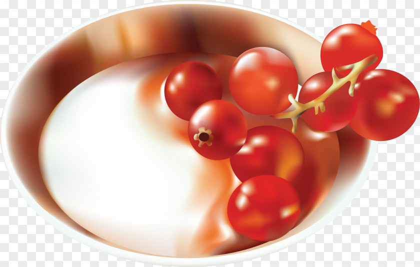 Plate Fruit Drawing PNG