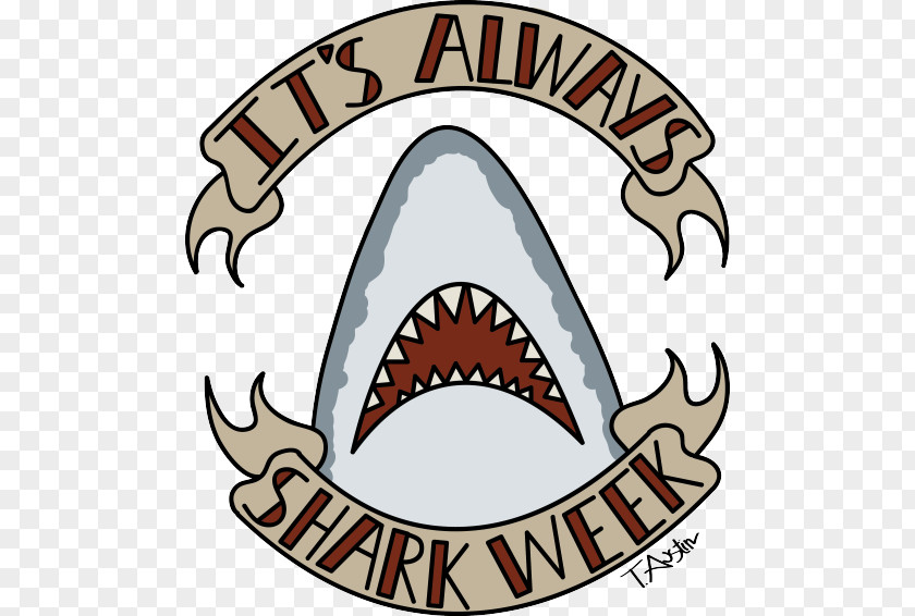 Shark Week Atalasoft, Inc. United States Drum Stick Drums PNG
