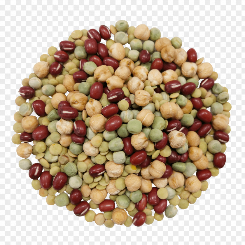 Beans Bean Legume Food Khorasan Wheat Sprouting PNG