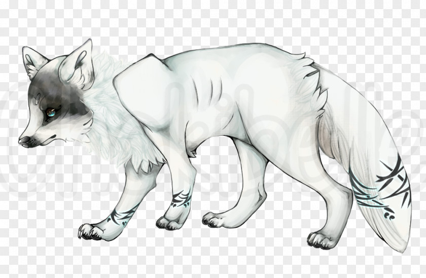 Of Arctic Fox Red Sketch Line Art Fauna News PNG