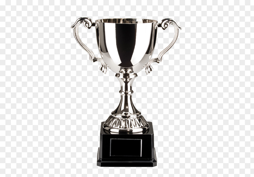 Trophy Cup Silver Plating Award PNG