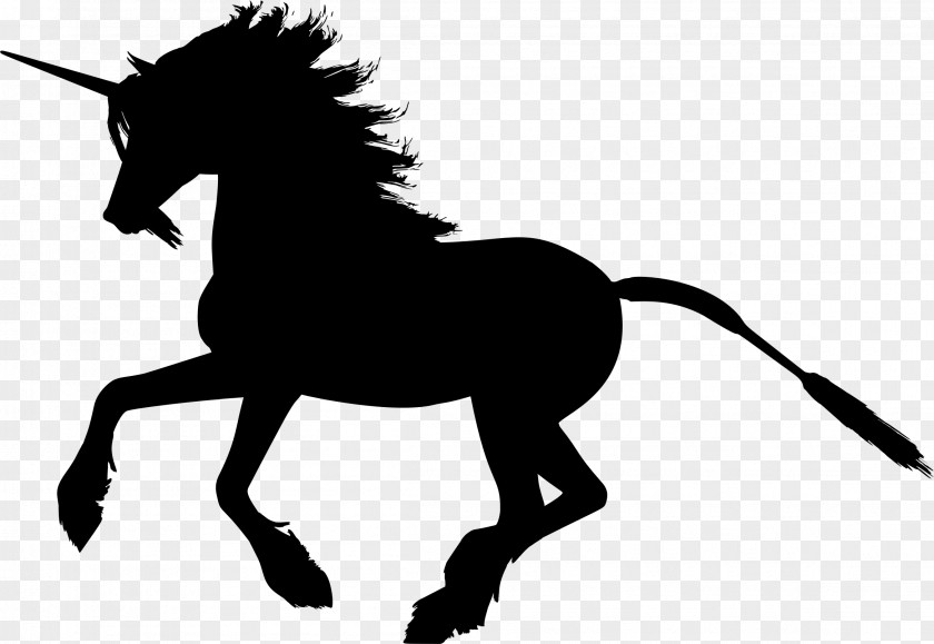 Unicorn Horn Horse Clip Art PNG