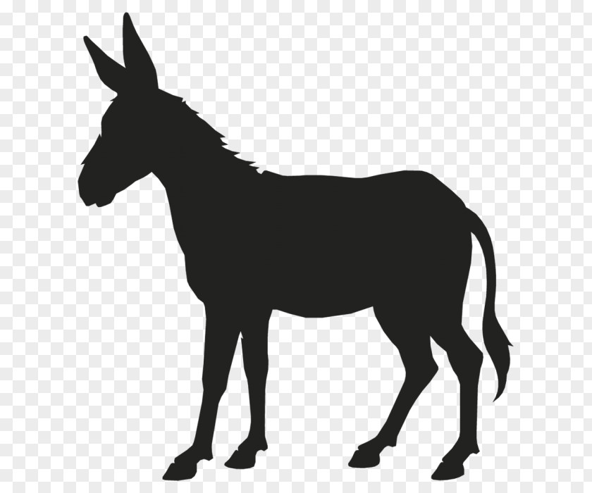 Argent Outline Donkey Mule Vector Graphics Clip Art PNG