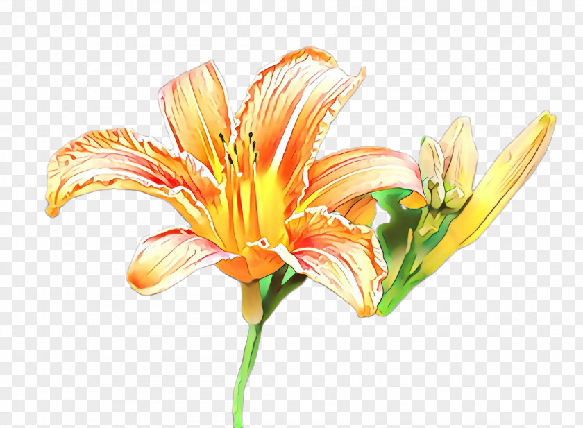 Artificial Flower PNG