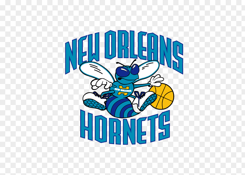Basketball Team Icon New Orleans Pelicans Charlotte Bobcats NBA Brooklyn Nets York Knicks PNG