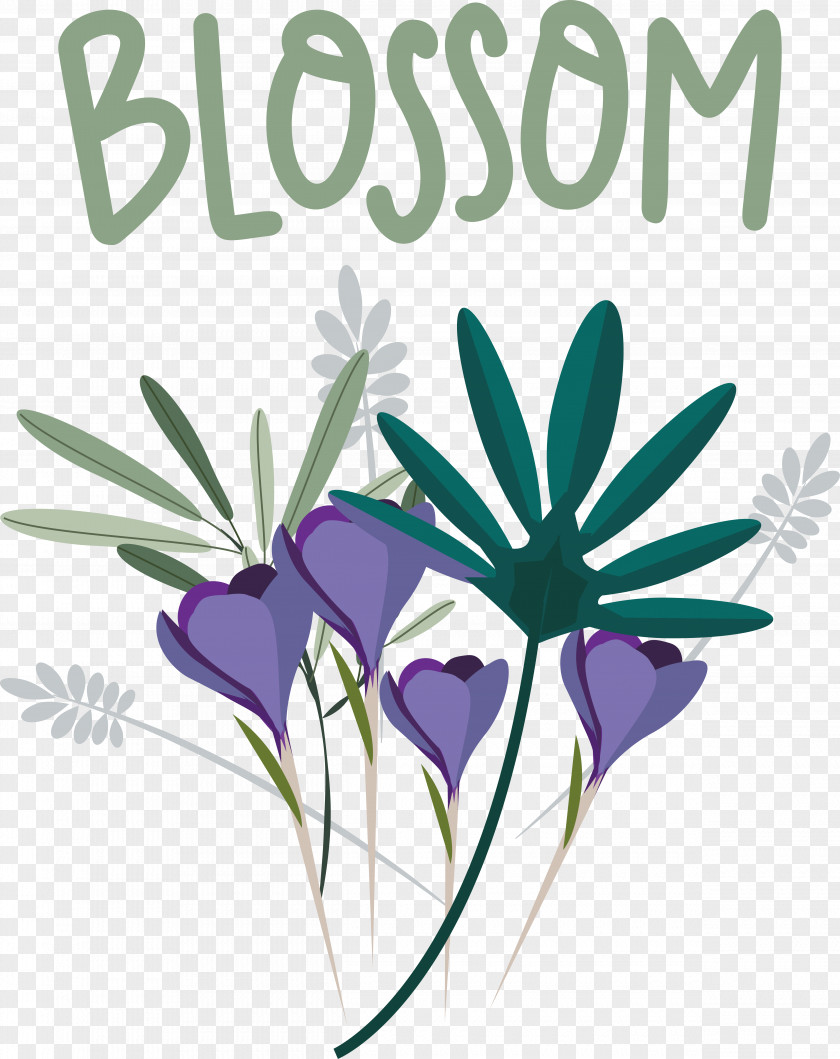 Floral Design PNG