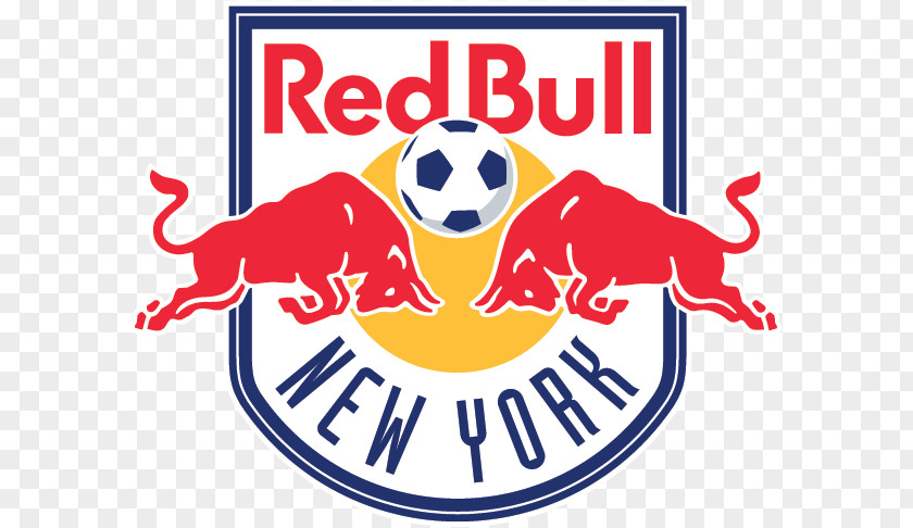 Football Red Bull Arena New York Bulls U-23 City FC PNG
