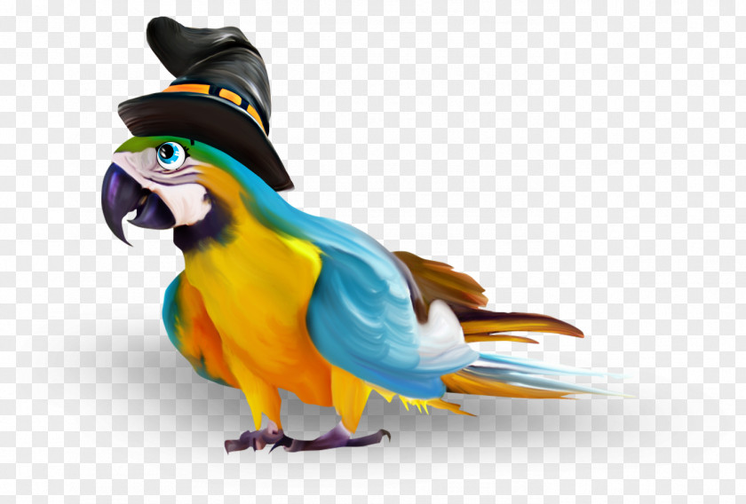 Magic Parrot Halloween Perroquet Clip Art PNG