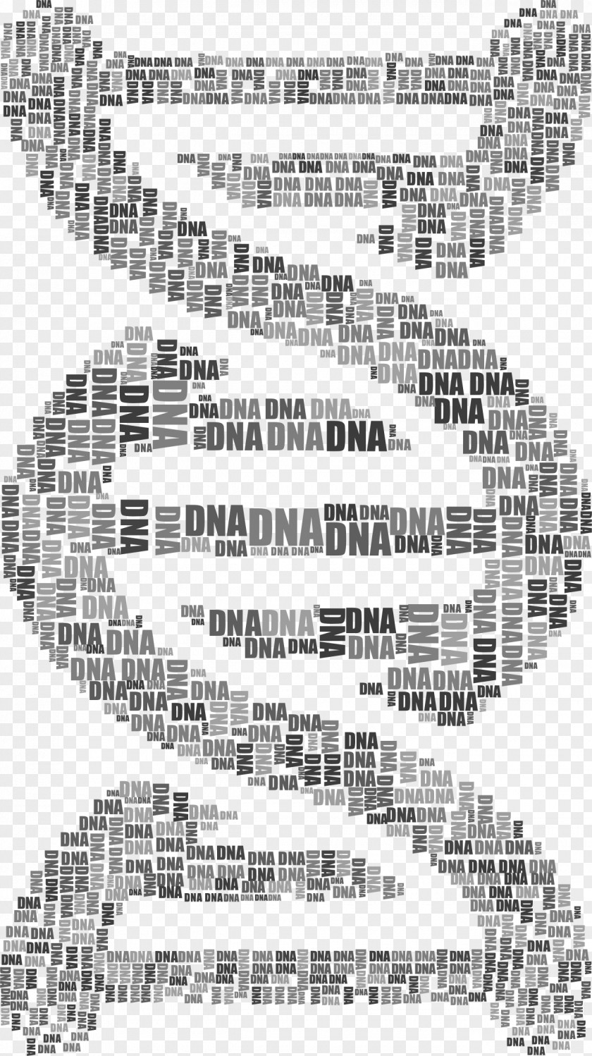 Vector DNA Biology Nucleic Acid Double Helix Gene PNG