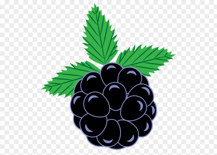 Vector Grapes BlackBerry Curve Clip Art PNG