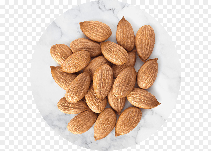Almond Food Protein Bar Aroma Flavor PNG
