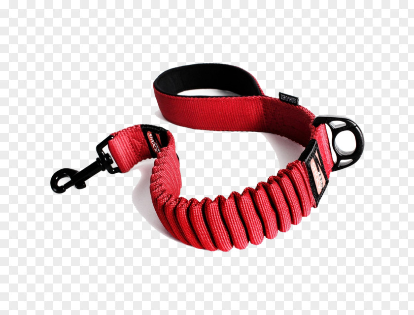 Dog Collar Leash Harness PNG