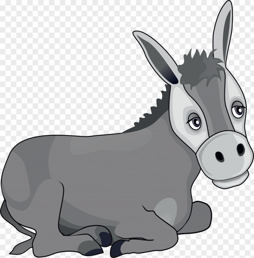 Donkey Mule Ox Holy Family Manger PNG