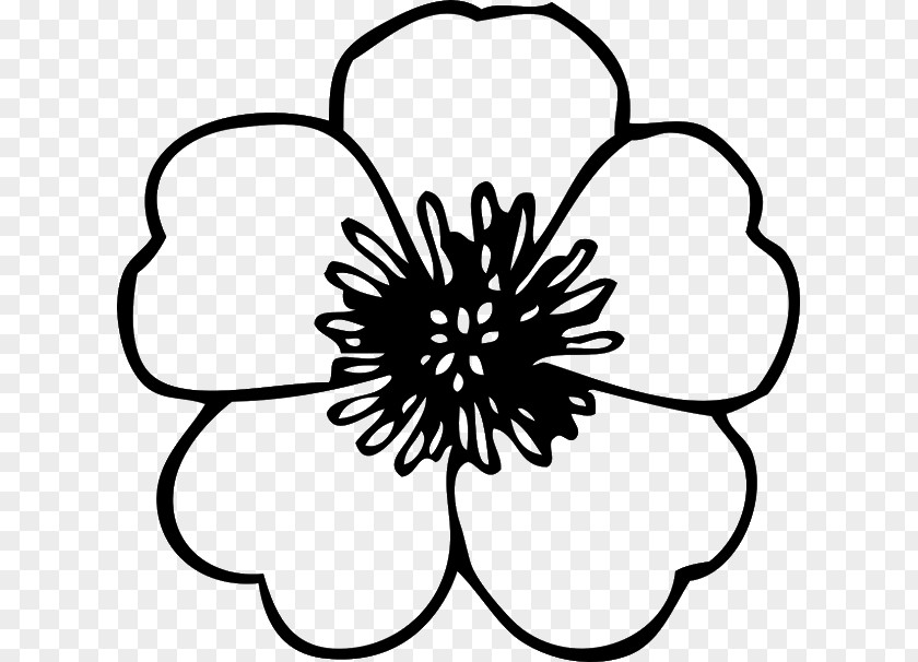 Flower Outline Blossom Flowers Clip Art Openclipart Free Content Image PNG