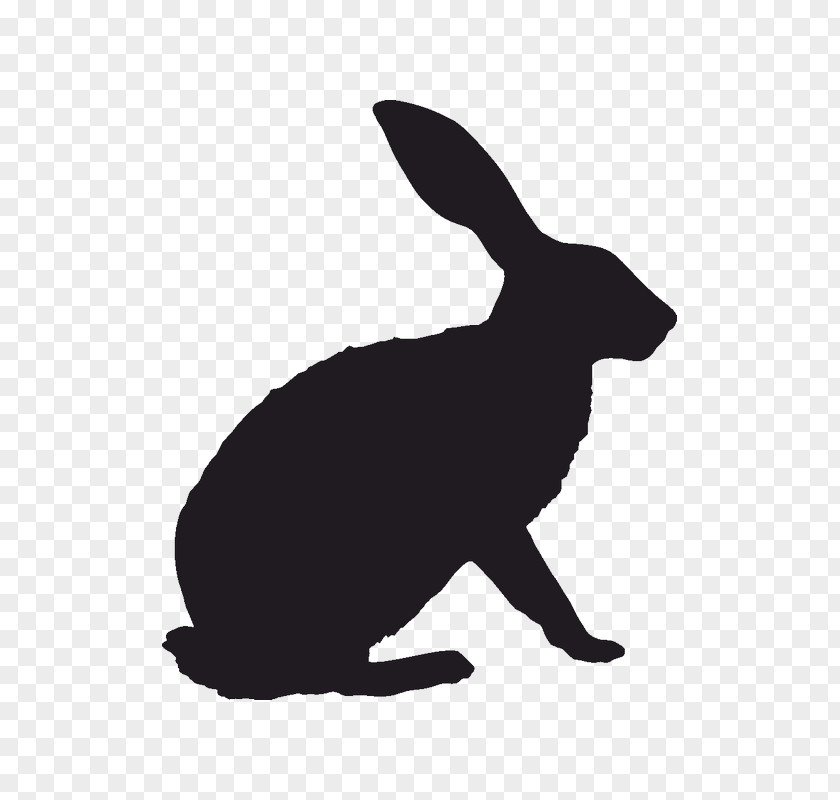 Rabbit Hare Vector Graphics Image Silhouette PNG