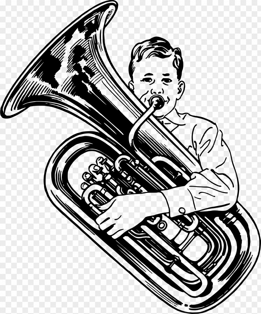 Tuba Drawing Brass Instruments Sousaphone Clip Art PNG