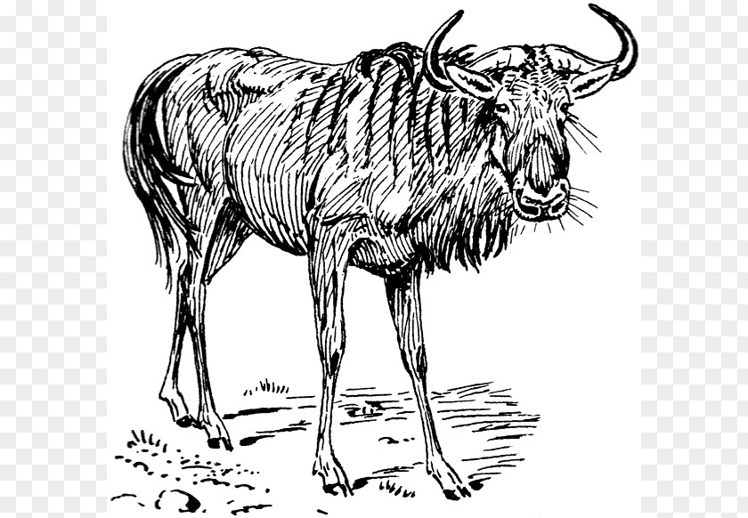 Wildebeest Cliparts Blue Clip Art PNG
