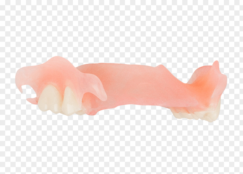 Aspen Dental Dentures Dentistry Jaw 総義歯 Tooth PNG