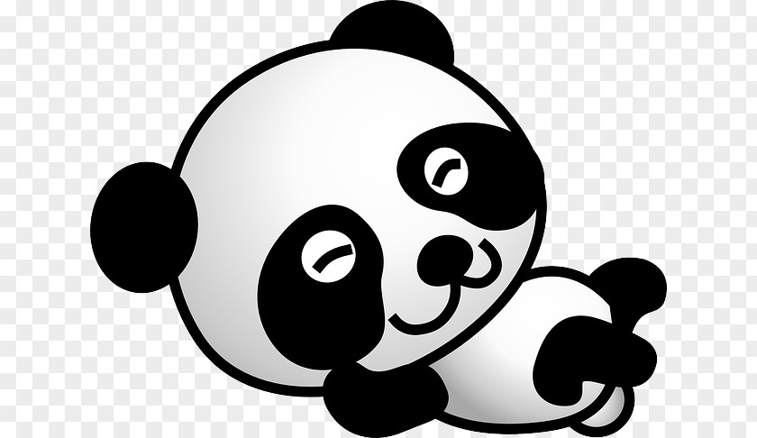 Bear Giant Panda American Black Drawing PNG