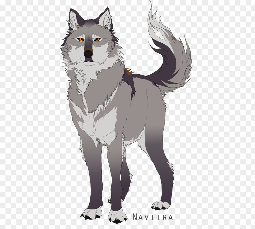 Cartoon Wolf Gray Drawing DeviantArt PNG