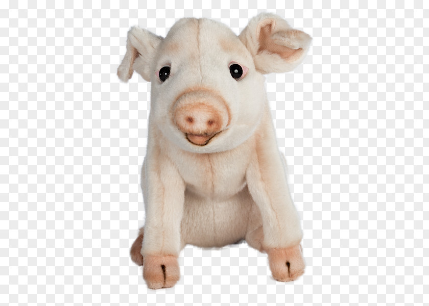 Child Domestic Pig Stuffed Animals & Cuddly Toys PNG