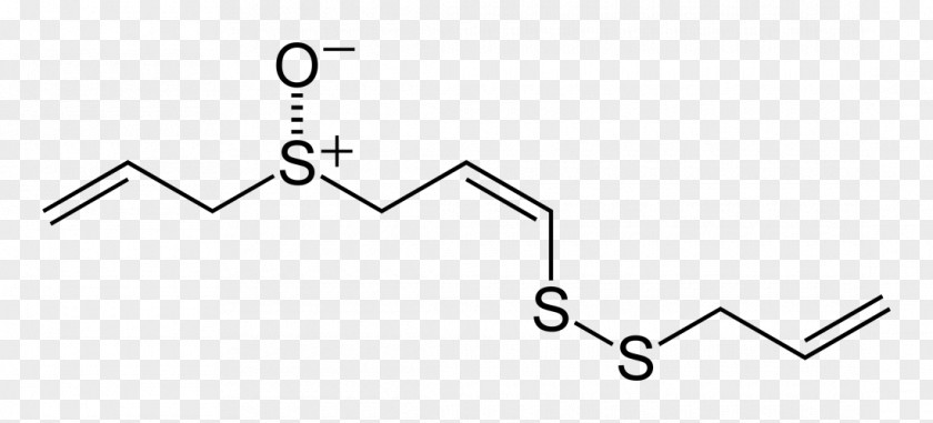 Garlic Ajoene Allicin Diallyl Disulfide PNG