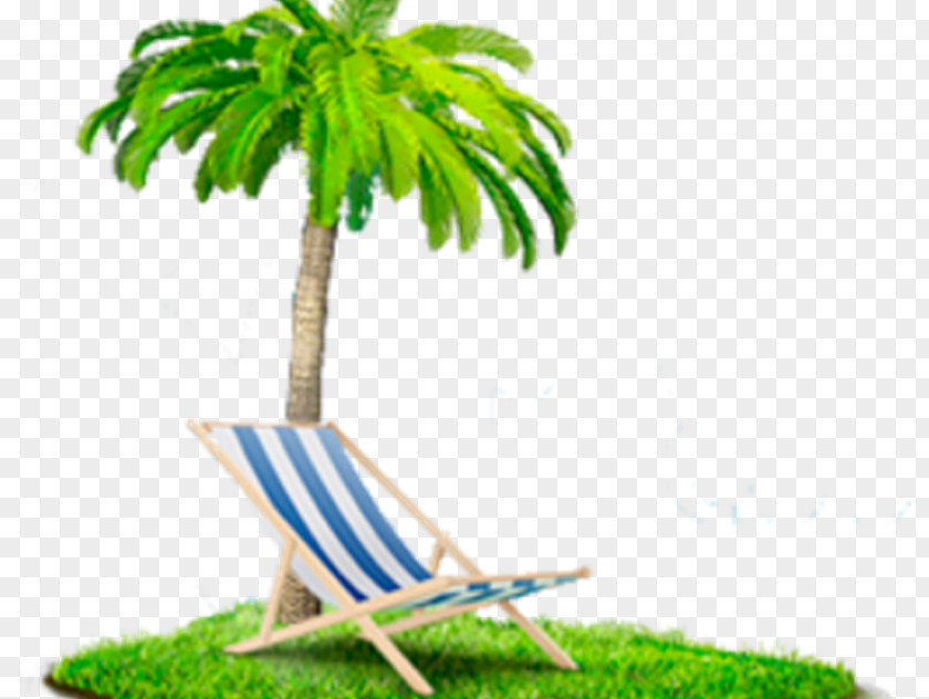 Houseplant Flowerpot Palm Tree PNG