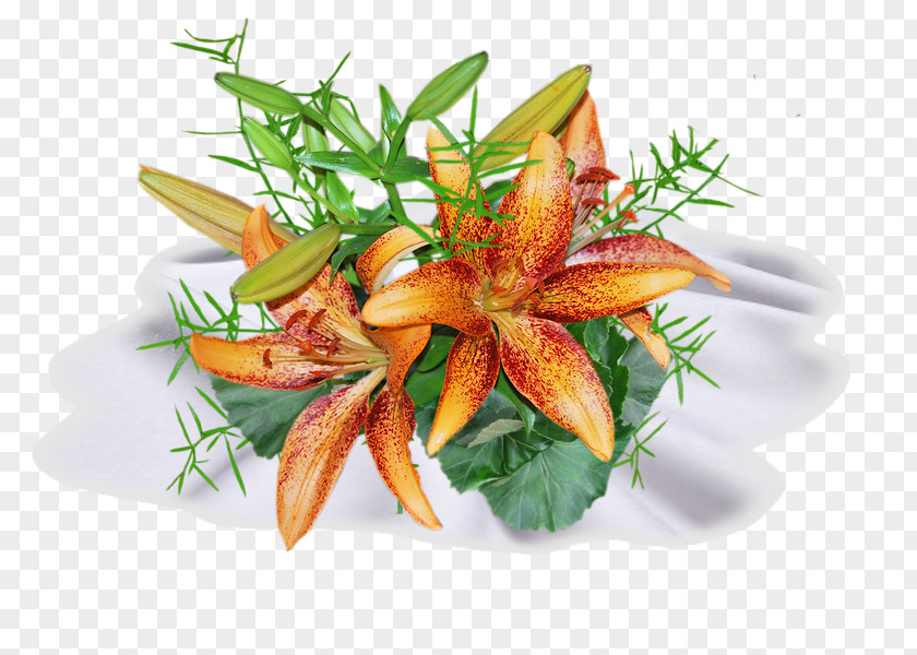 Image Vegetable Garnish Recipe Cuisine PNG
