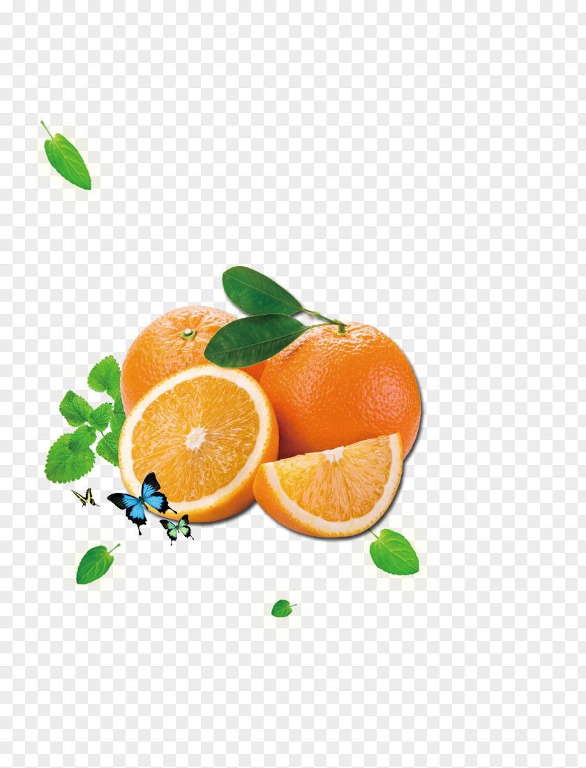 Orange Butterfly Juice Citrus Xd7 Sinensis Cam Sxe0nh PNG