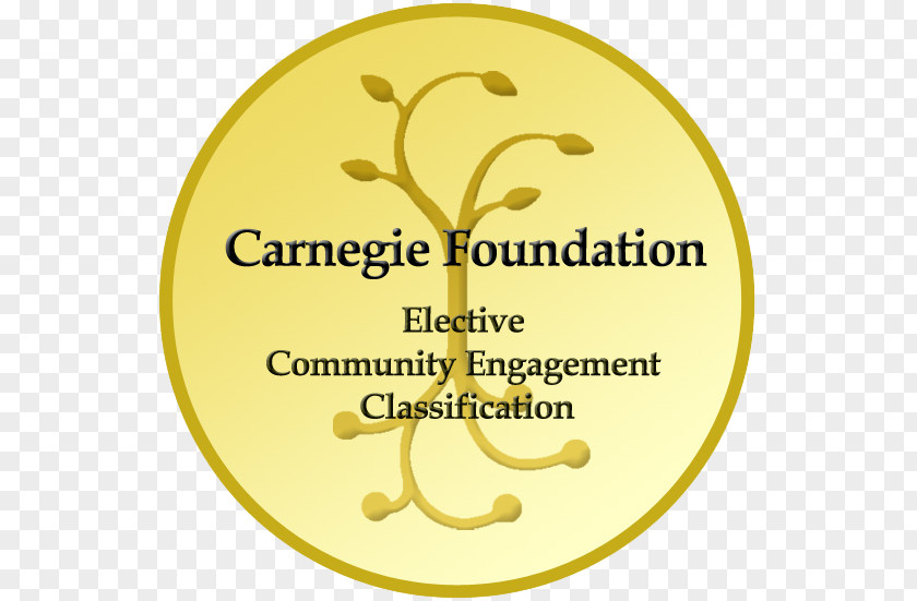 Bard Center For Civic Engagement Carnegie Foundation The Advancement Of Teaching University St. Thomas Classification Institutions Higher Education Community PNG