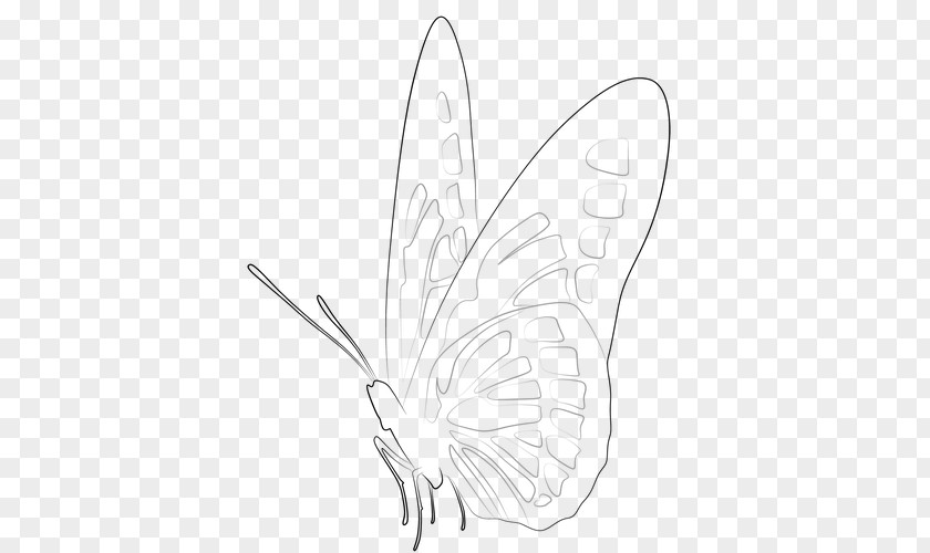 Butterfly Line Drawing Brush-footed Butterflies Moth Sketch Design PNG