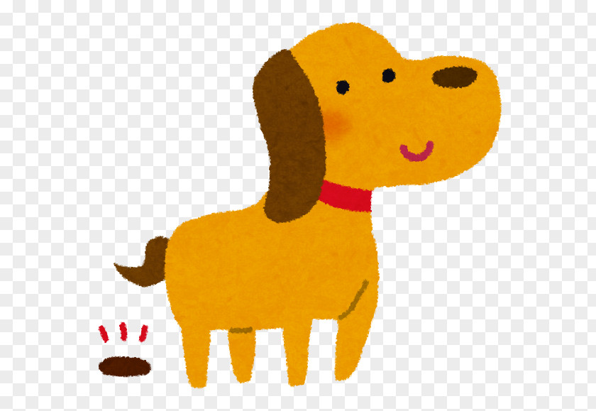 Puppy Poodle Akita Shiba Inu Dog Food PNG