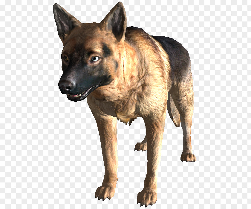 Dog Breed Fallout 3 4 Fallout: New Vegas Kunming Wolfdog PNG