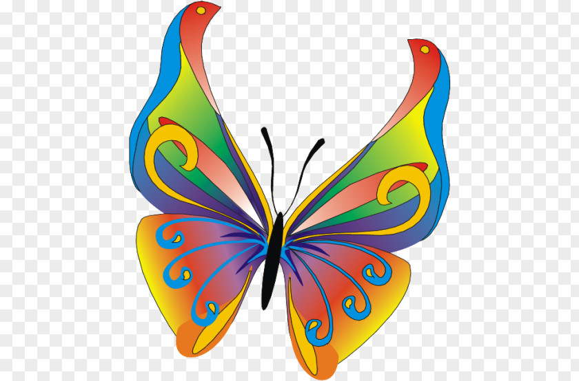 Butterfly Pea Flower Papillon Dog Clip Art PNG