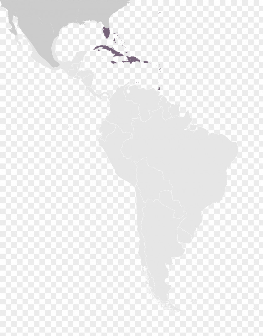 Caribbean White Latin America Desktop Wallpaper Computer Font PNG