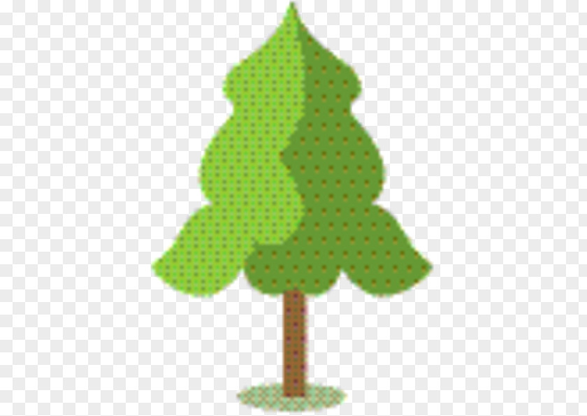 Conifer Pine Family Christmas Tree PNG