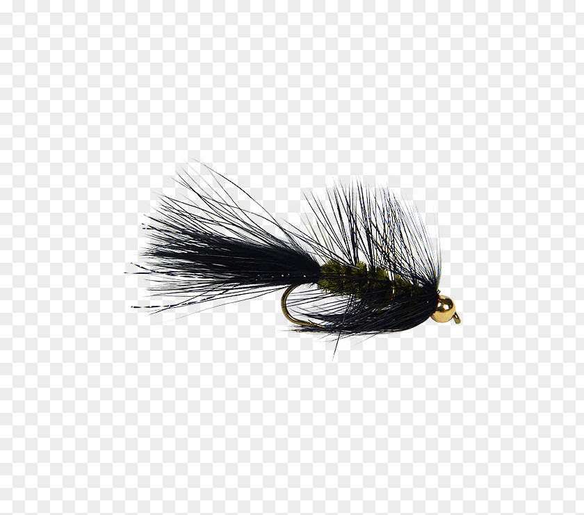 Fly Artificial Woolly Bugger Fishing Insect PNG