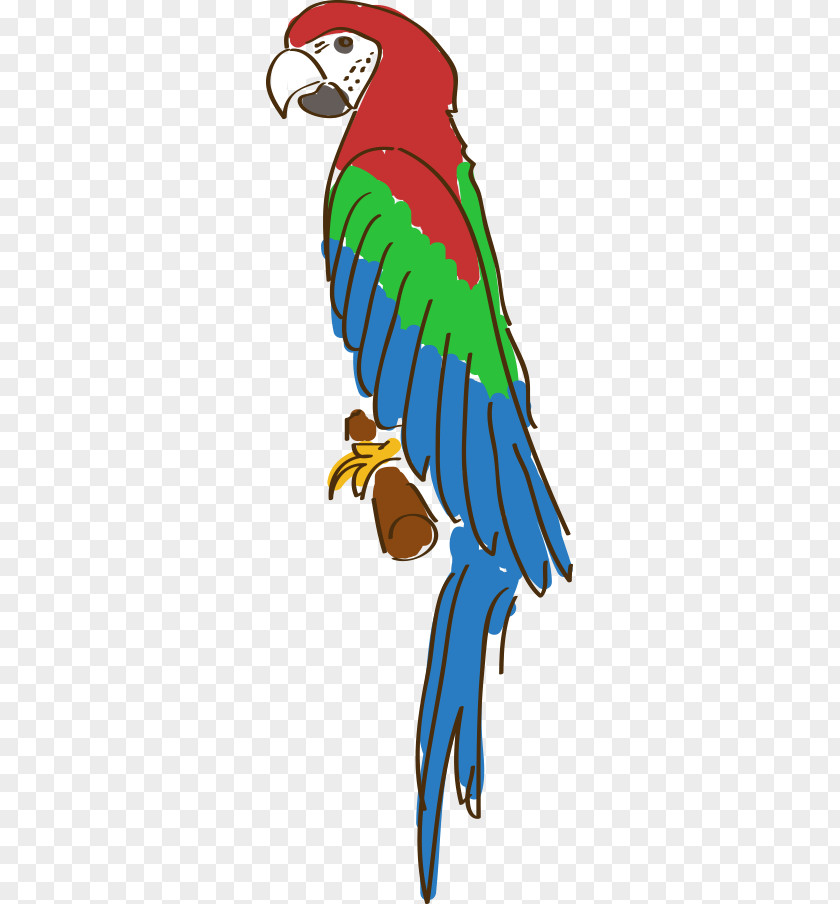Hand-painted Cartoon Parrot Amazon Drawing PNG