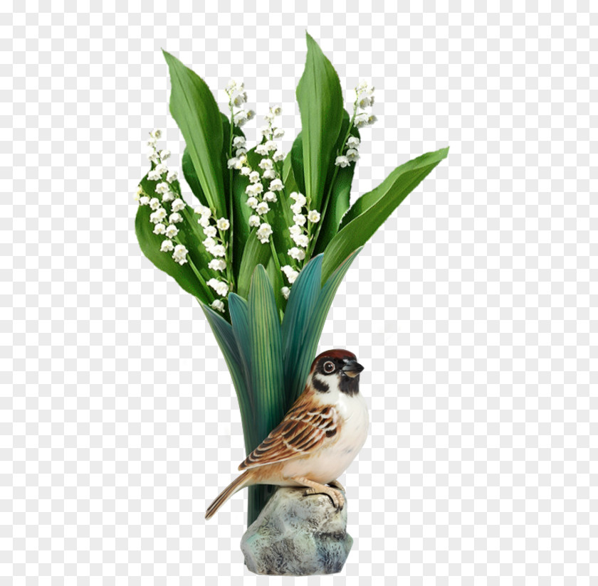 Lily Of The Valley May 1 Happiness Amulet Luck PNG