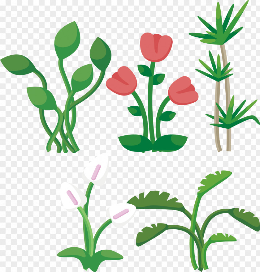 Red Tulips Leaf Plant Euclidean Vector Tree PNG
