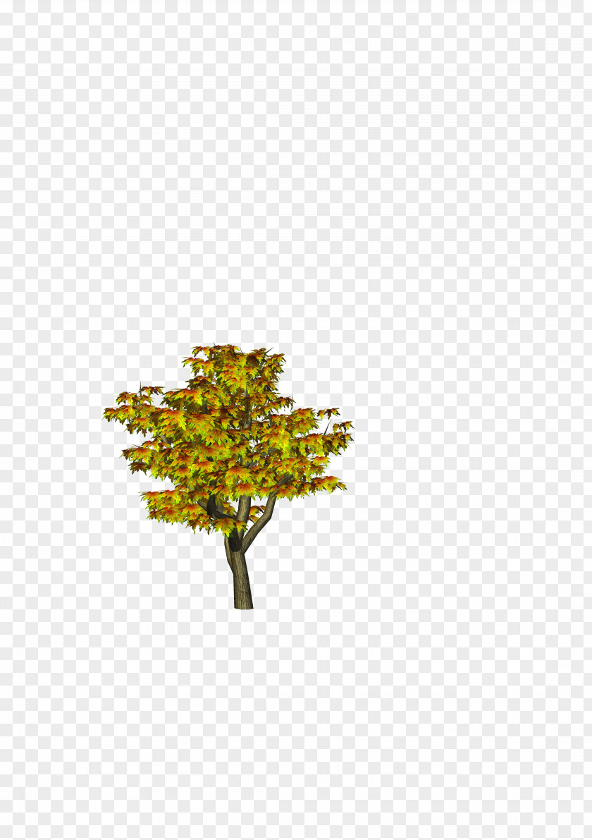 Tree PicsArt Photo Studio Clip Art PNG