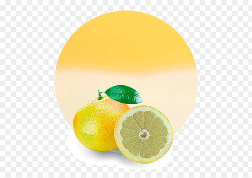 Unusual Tropical Fruits Lemon Juice Grapefruit Mandarin Orange Lime PNG