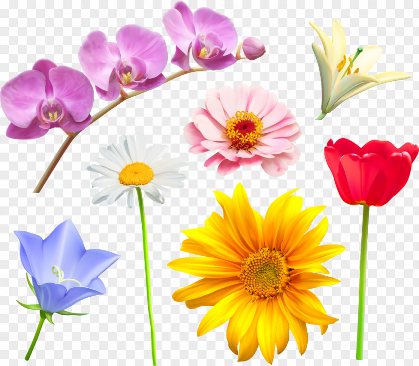 Vector Flowers Flower Royalty-free Stock Photography Clip Art PNG
