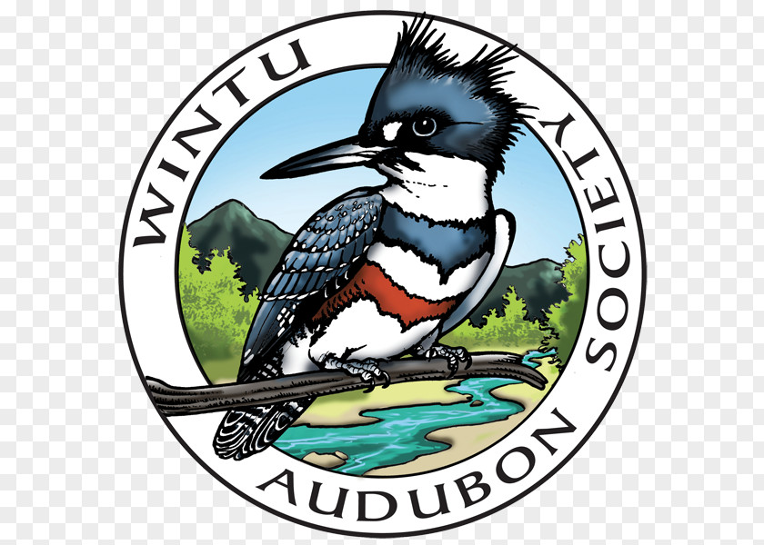 Audubon Society Santa Clara Plumas National Wintu Language Turtle Bay PNG