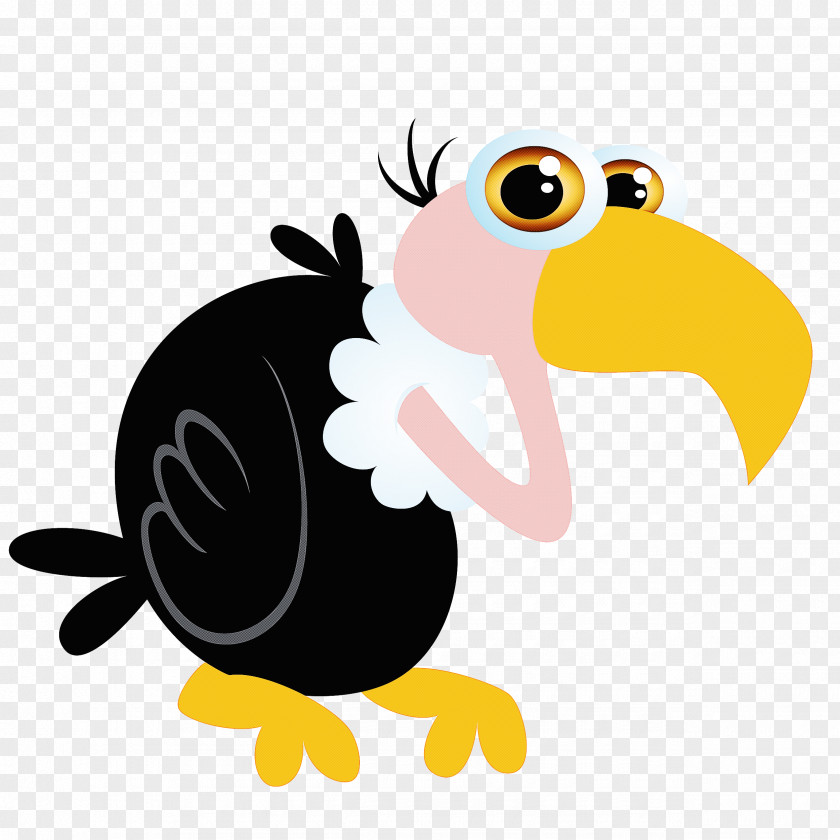 Bird Cartoon Toucan Beak Vulture PNG