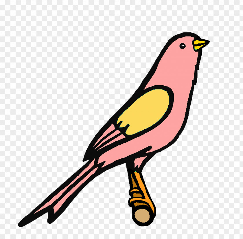 Cute Bird Finches Beak Clip Art PNG
