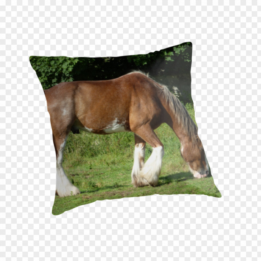 Grazing Mustang Foal Mare Stallion Throw Pillows PNG
