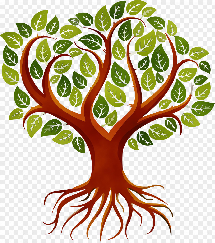 Leaf Plant Tree Woody Stem PNG